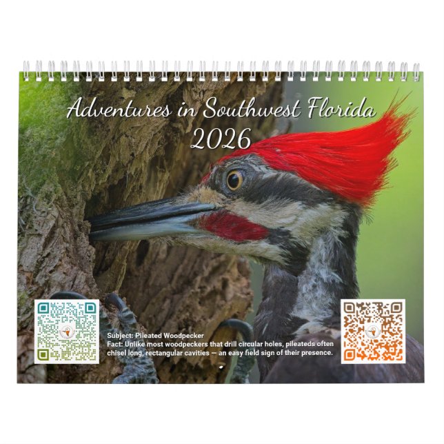 2026 Adventures in Southwest Florida Calendar (Cover)