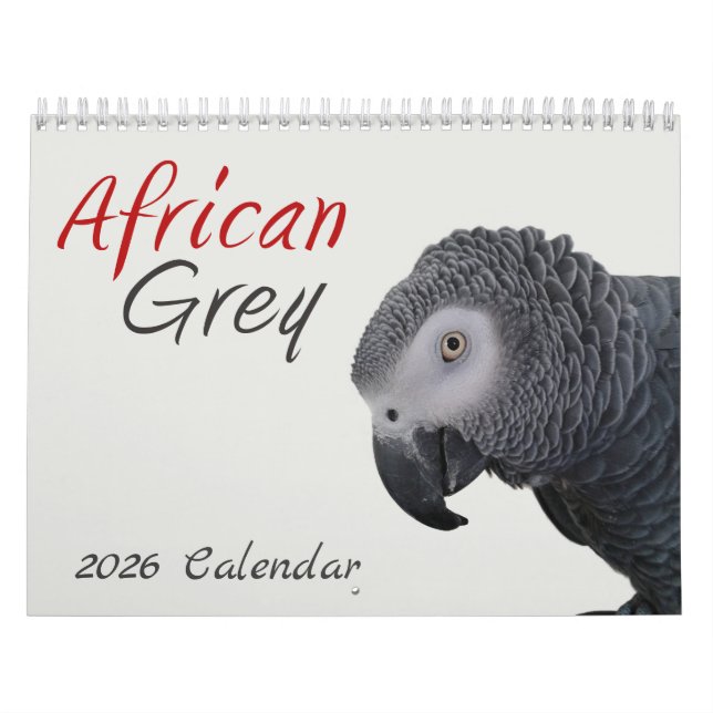 2026 African Grey Parrot Calendar (Cover)