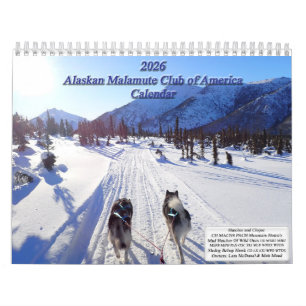 2026 Alaskan Malamute Club of America Calendar