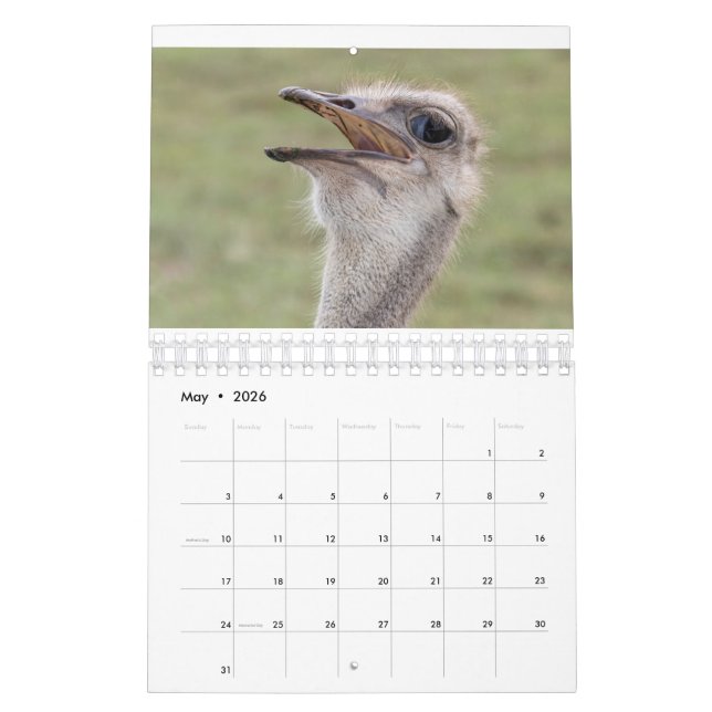 2026 Animal Calendar (May 2026)