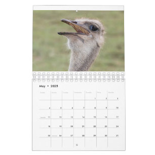 2026 Animal Calendar