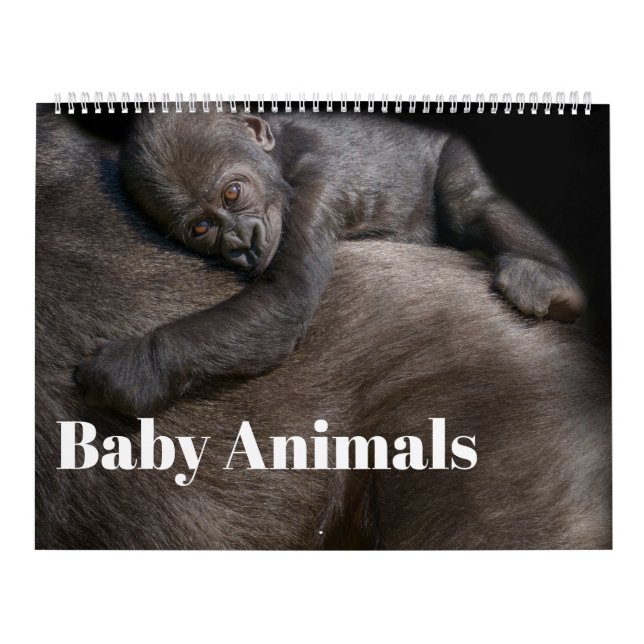 2026 Baby Animals Calendar (Cover)