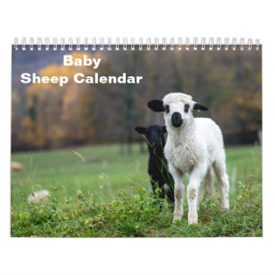 2026 Baby Sheep Lamb Calendar