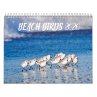 2026 Beach Birds Photography