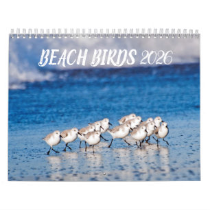 2026 Beach Birds Photography Calendar