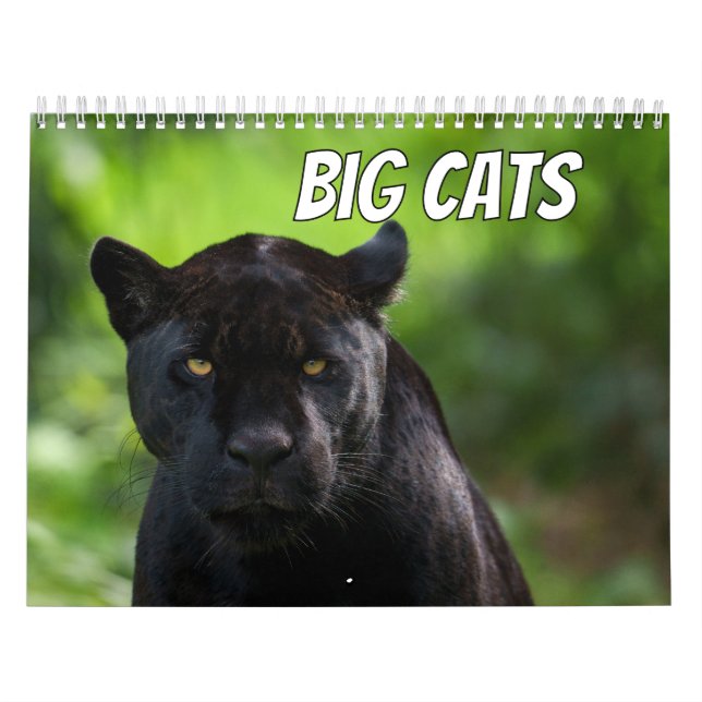 2026 Big Cat Calendar (Cover)