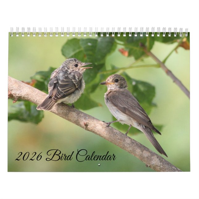 2026 Bird Calendar (Cover)