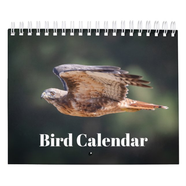 2026 Bird Calendar (Cover)