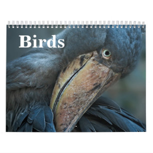 2026 Birds Calendar