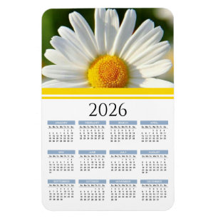 2026 Bright Shasta Daisy Floral Calendar Magnet