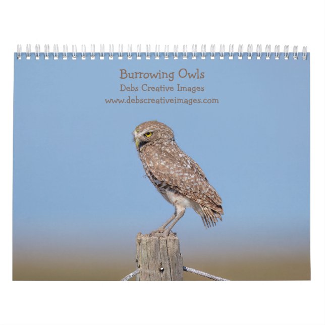 2026 Burrowing Owls of Florida Calendar (Cover)