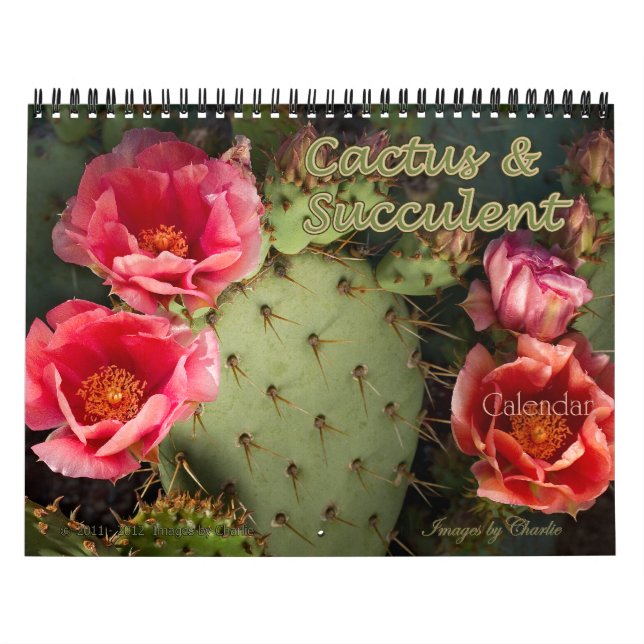 2026 Cactus & Succulent Flower Wall Calendar (Cover)