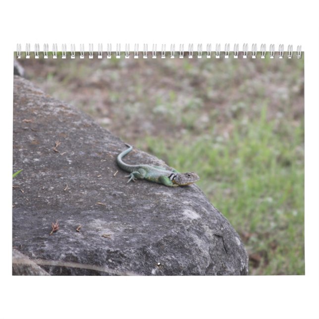 2026  CALENDAR (Cover)