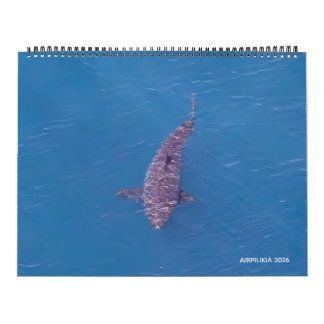 2026 Calendar Airpilikia 