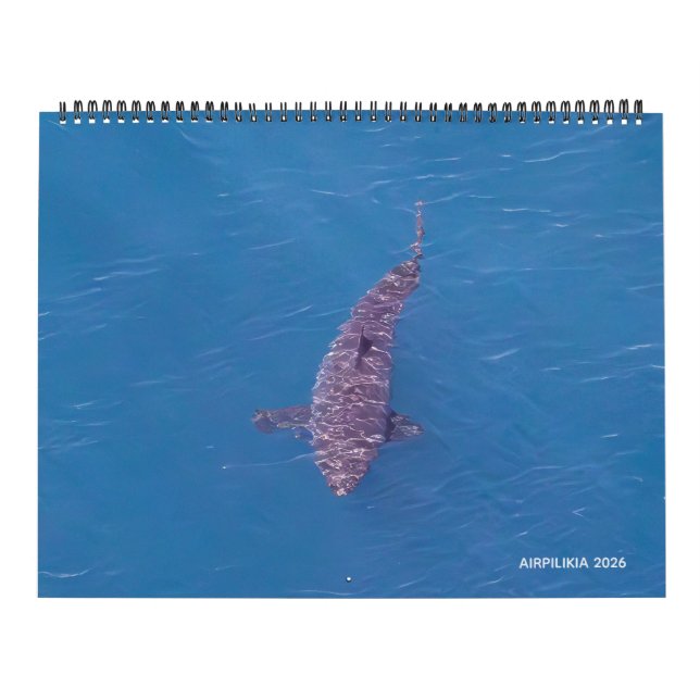 2026 Calendar Airpilikia  (Cover)