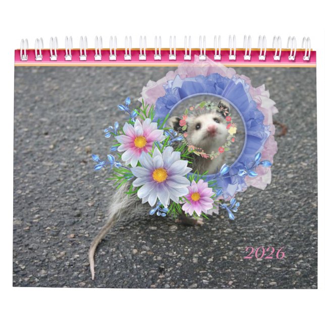 2026 Calendar Colourful Stripes Opossum Floral (Back)