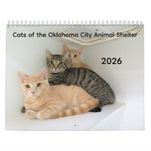 2026 Cats of the Oklahoma City Animal Shelter Calendar