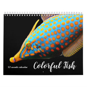 2026 Colourful Fish Calendar