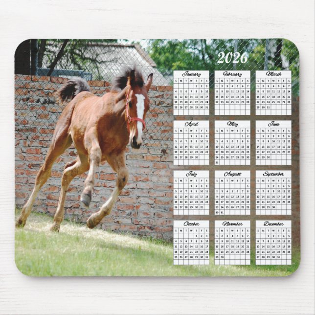 2026 Colt Running Calendar Mouse Mat (Front)