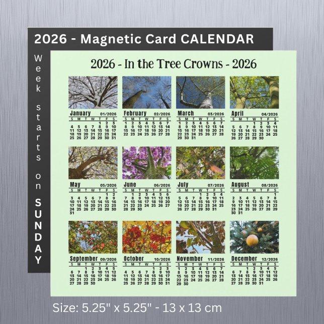 2026 Custom Photo Tree Calendar Sunday start (Creator Uploaded)