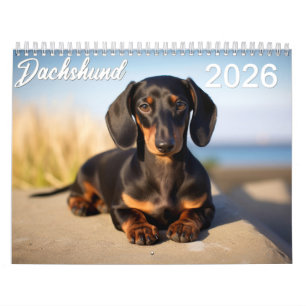 2026 Dachshund Calendar