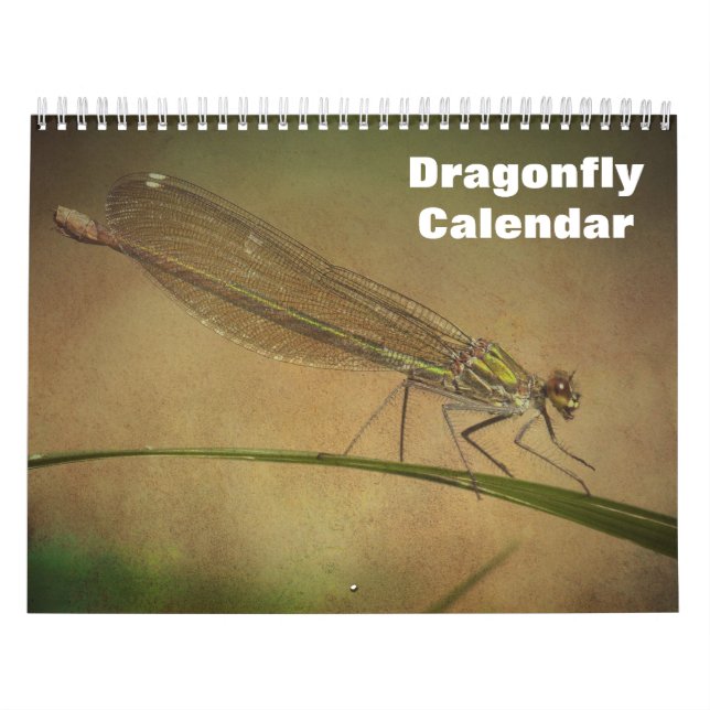 2026 Dragonfly Calendar (Cover)
