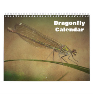 2026 Dragonfly Calendar