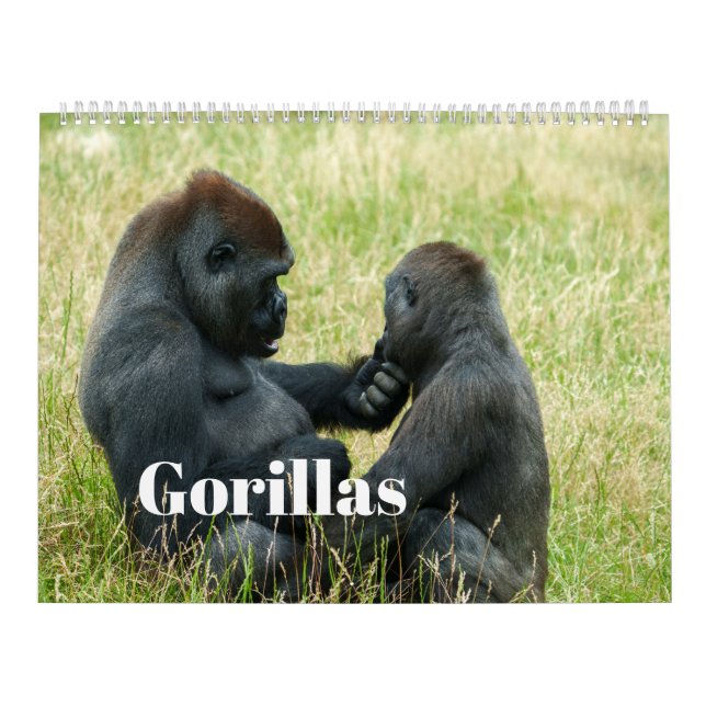 2026 Gorilla Calendar (Cover)