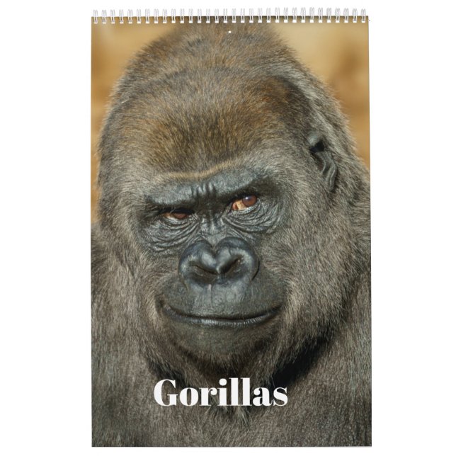 2026 Gorilla Calendar (Cover)