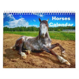 2026 Horse Calendar