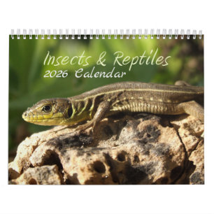 2026 Insects & Reptiles Calendar