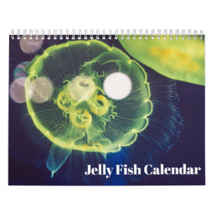 2026 Jellyfish Calendar