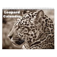 2026 Leopard