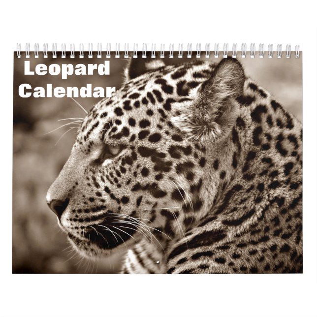 2026 Leopard Calendar (Cover)