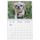 2026 Liz E.'s Pekingese Calendar