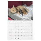 2026 Love & Hisses Calendar - ALL FOSTERS