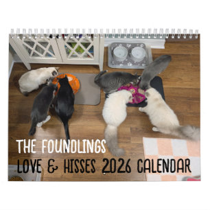 2026 Love & Hisses Calendar - the Foundlings