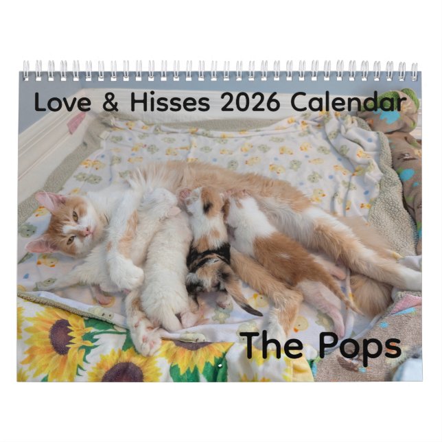 2026 Love & Hisses Calendar - the Pops (Cover)