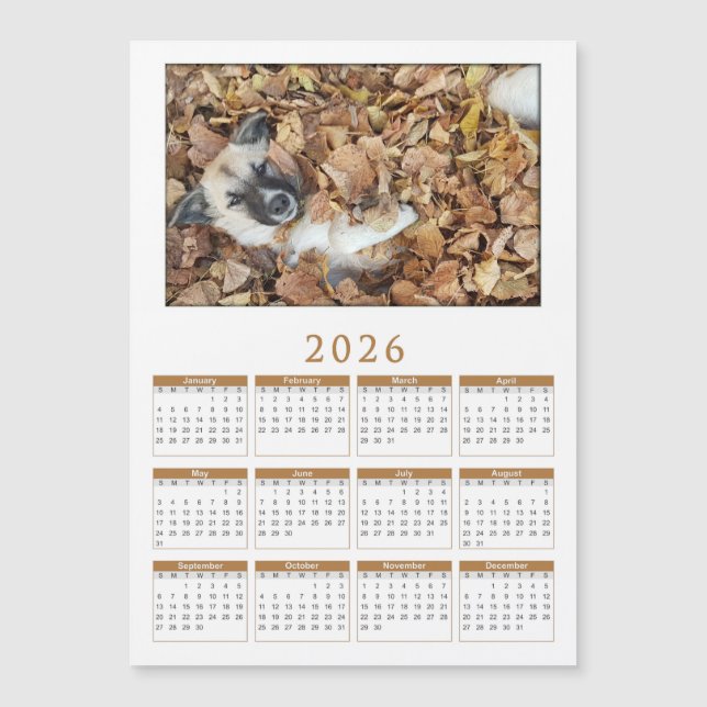 2026 magnetic calendar with Your animals (Front)
