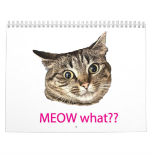 2026 MEOW what?? Calendar