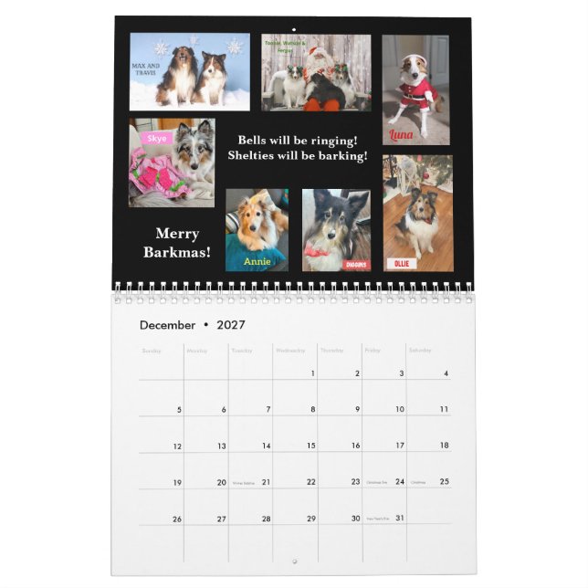 2026 Minnesota Sheltie Rescue Calendar (Dec 2027)