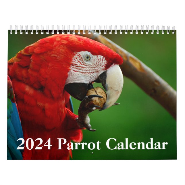 2026 Parrot Calendar (Cover)