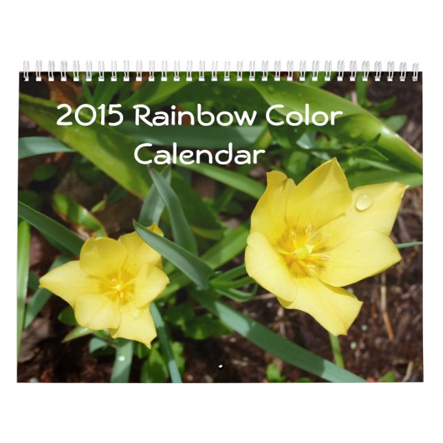 2026 Rainbow of Colours Calendar (Cover)