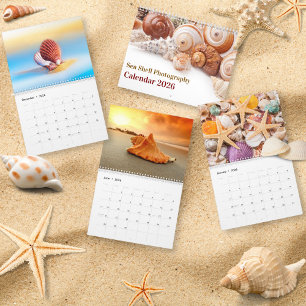2026 Sea Shell Coastal Shell Photography Calendar