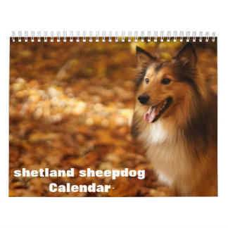 2026 Shetland Sheepdog Calendar