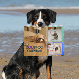 2026 silly cat Calendar