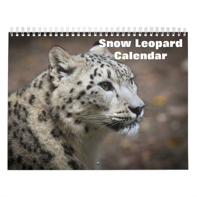 2026 Snow leopard Calendar (Cover)