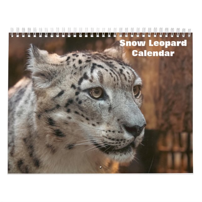 2026 Snow leopard Calendar (Cover)