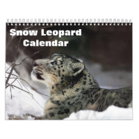 2026 Snow leopard