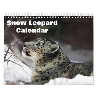 2026 Snow leopard Calendar